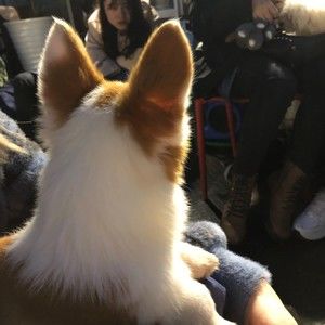 Meet your Posher, Kewei